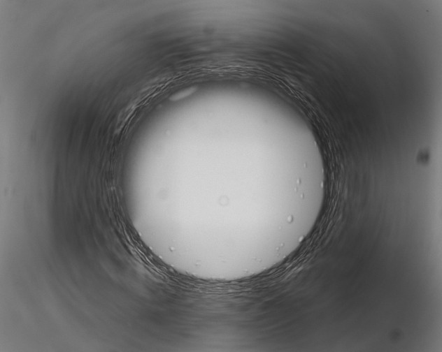 X0000115110820200912081319