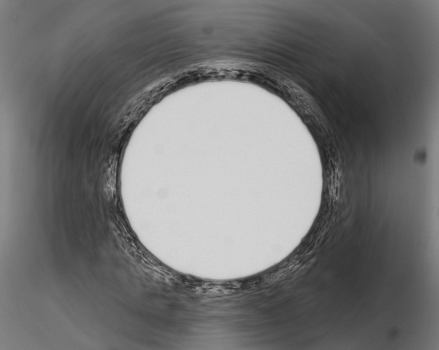 X0000115110821200912081319