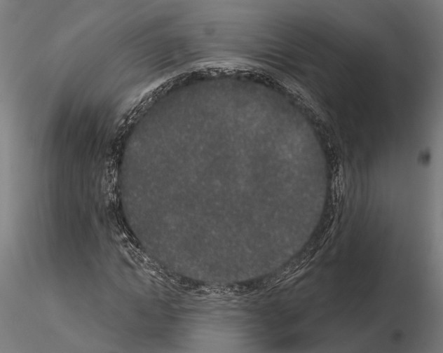 X0000115110822200912081319