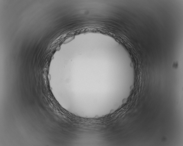 X0000115110824200912081319