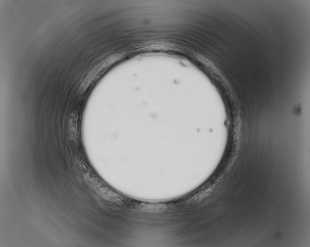 X0000115110825200912081319