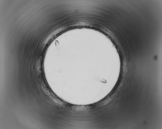 X0000115110826200912081319