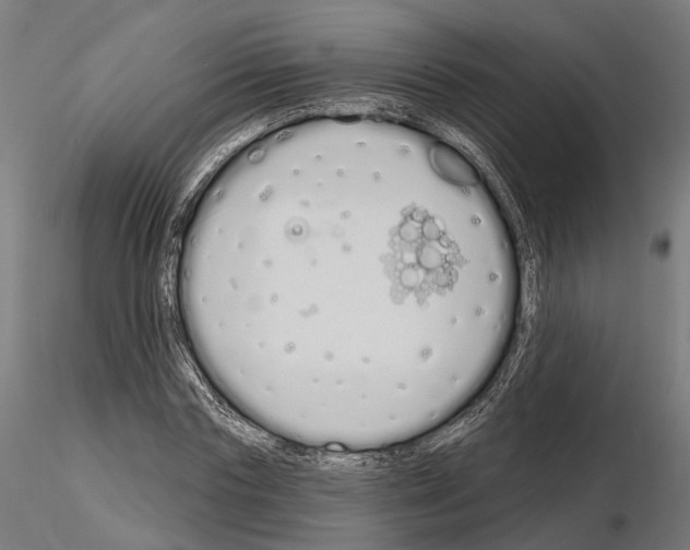 X0000115110827200912081319