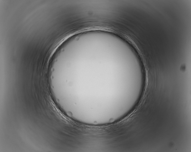 X0000115110828200912081319