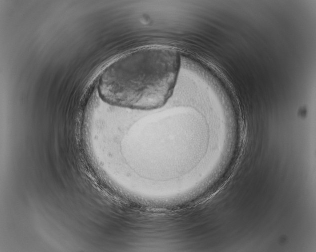 X0000115110829200912081319