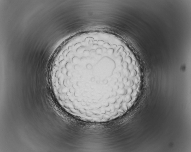 X0000115110830200912081319