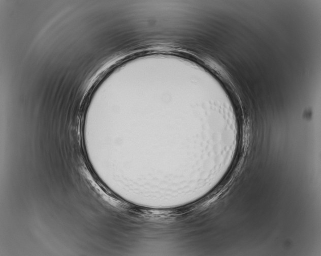 X0000115110831200912081319