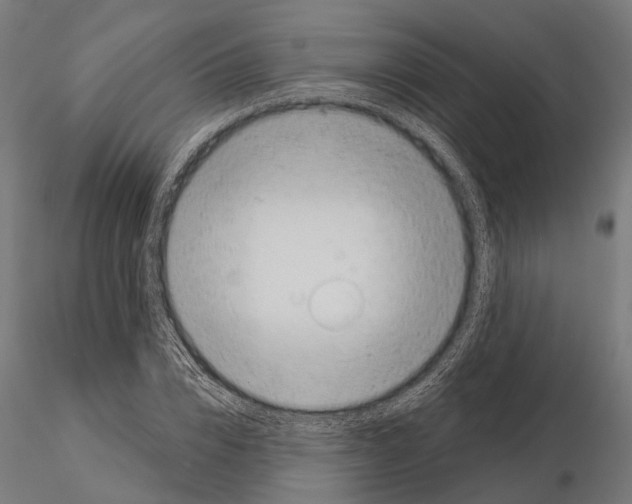 X0000115110832200912081319