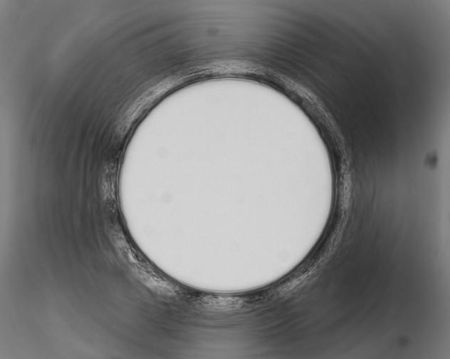 X0000115110833200912081319