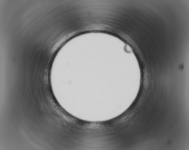 X0000115110834200912081319