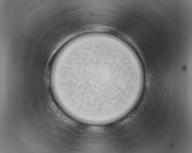 X0000115110835200912081319