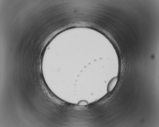 X0000115110837200912081319