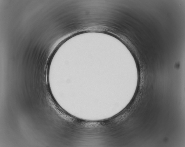 X0000115110838200912081319