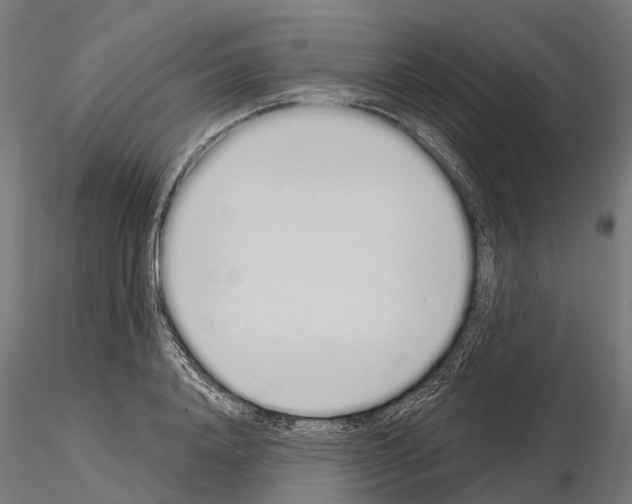 X0000115110840200912081319