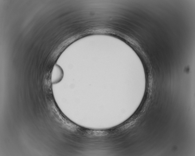 X0000115110841200912081319