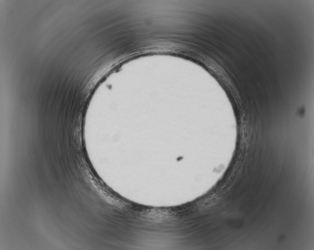 X0000115110842200912081319