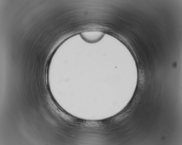 X0000115110843200912081319