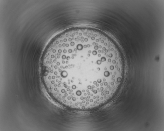 X0000115110848200912081319