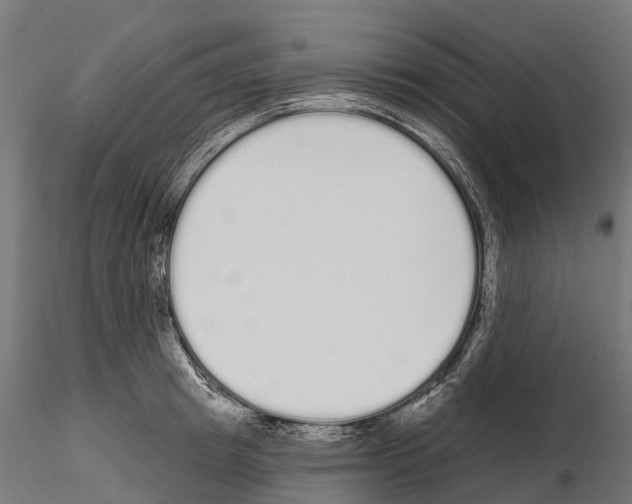 X0000115110849200912081319