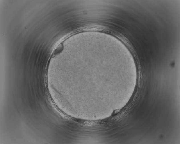 X0000115110850200912081320