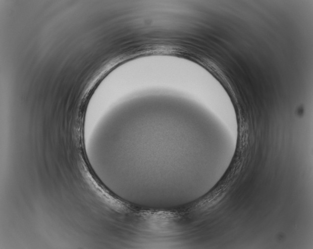 X0000115110851200912081320