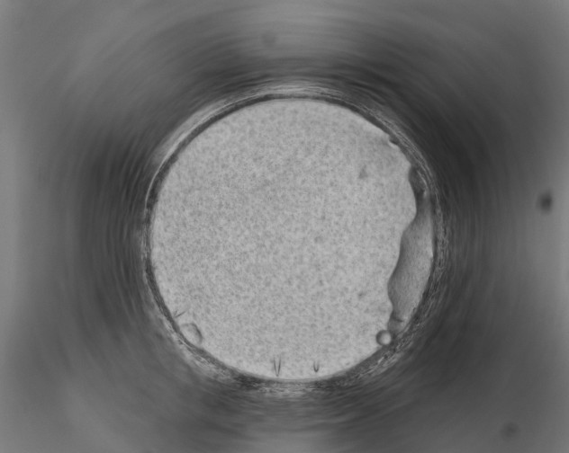 X0000115110853200912081320