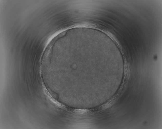 X0000115110854200912081320