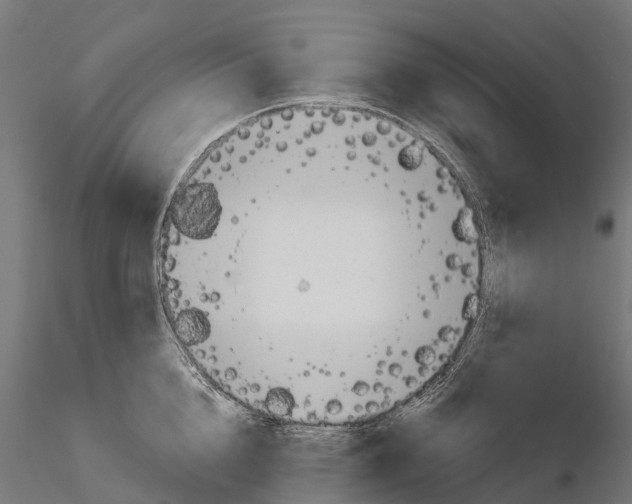 X0000115110856200912081320