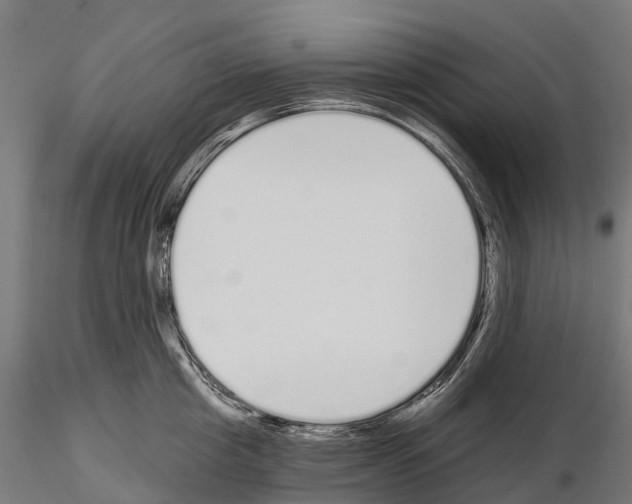 X0000115110857200912081320