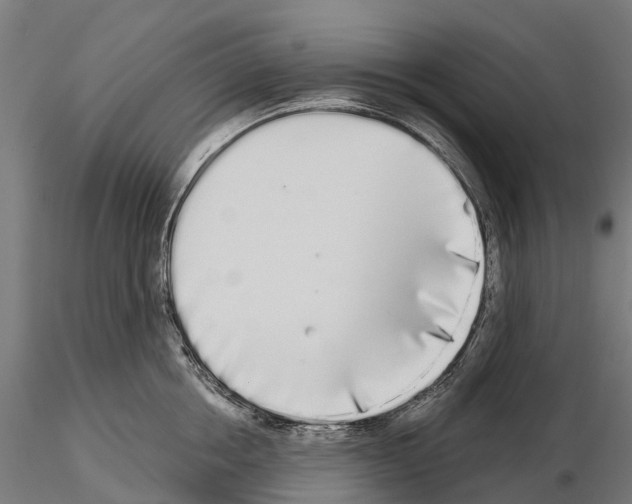 X0000115110858200912081320