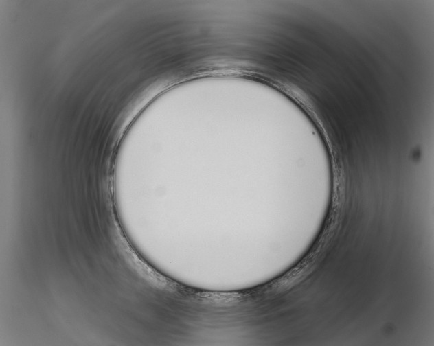 X0000115110859200912081320