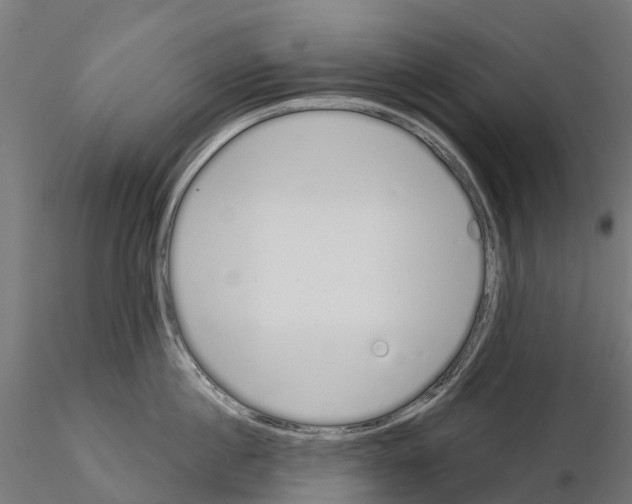 X0000115110860200912081320