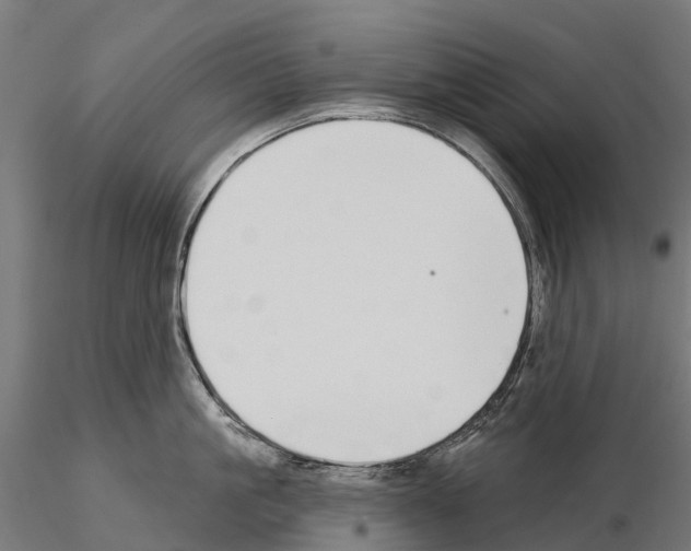 X0000115110861200912081320