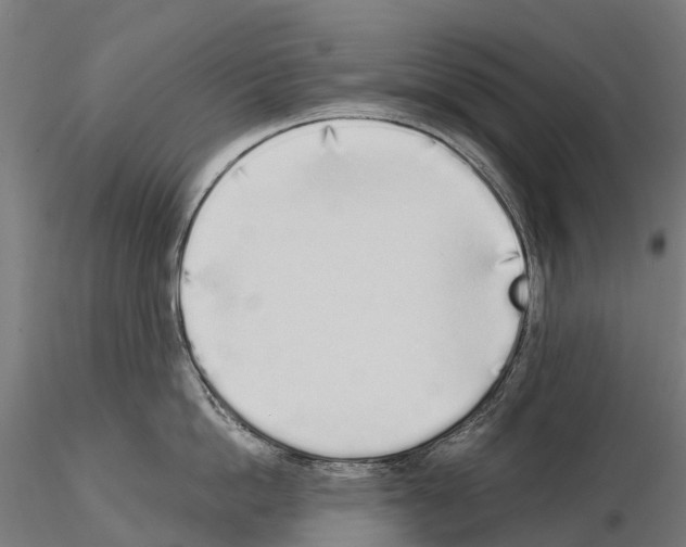 X0000115110862200912081320