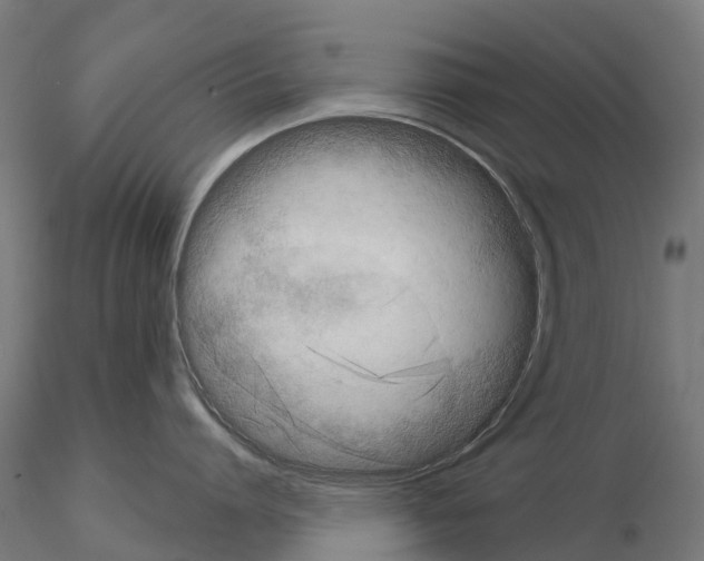 X0000115110864200912081320