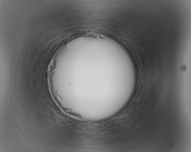 X0000115110865200912081319