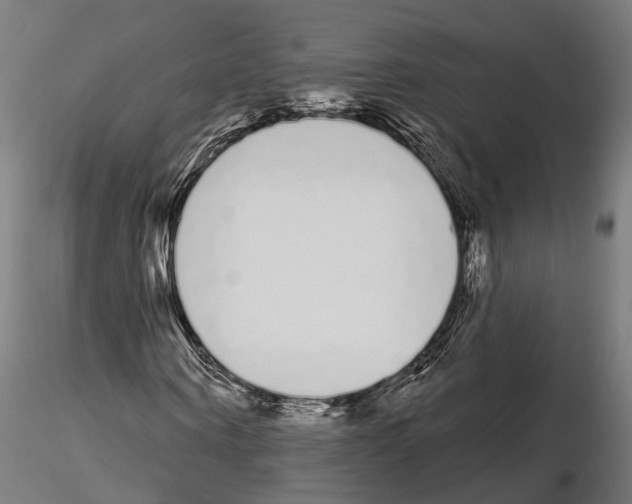 X0000115110866200912081319