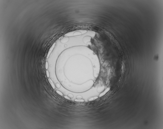 X0000115110867200912081319