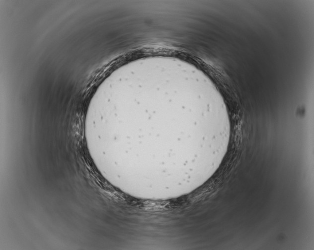 X0000115110870200912081319