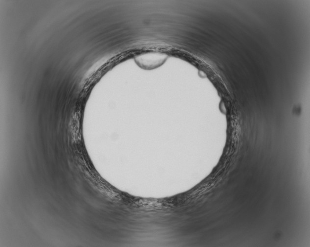 X0000115110871200912081319