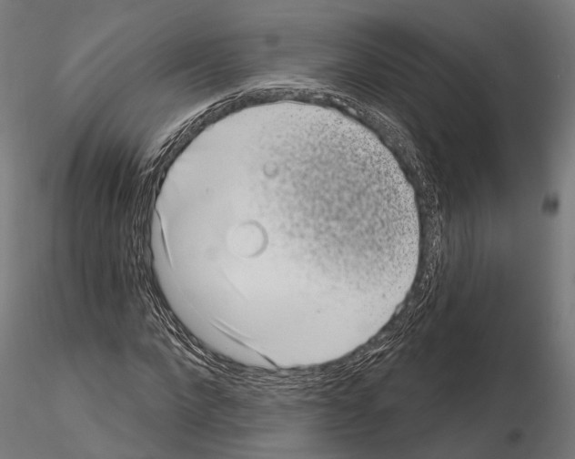 X0000115110872200912081319