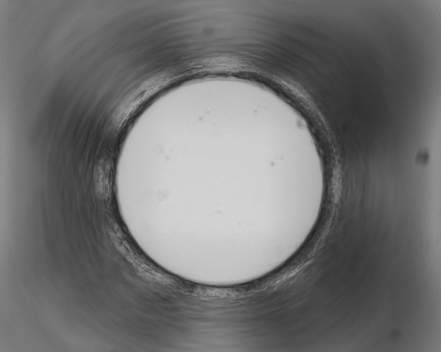 X0000115110873200912081319