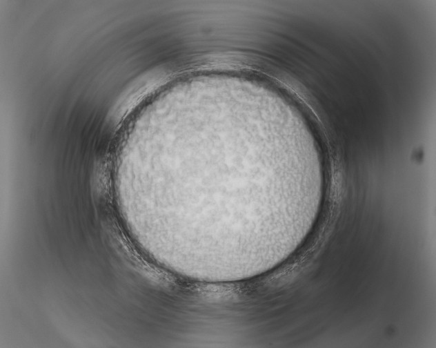 X0000115110874200912081319