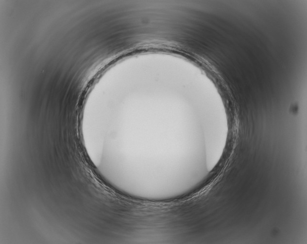 X0000115110877200912081319