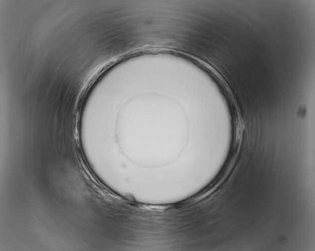 X0000115110878200912081319