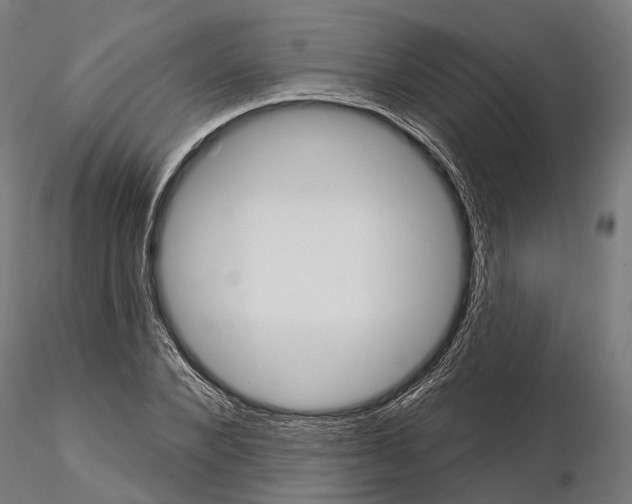 X0000115110880200912081319