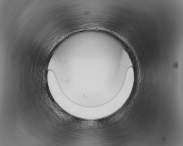 X0000115110881200912081319