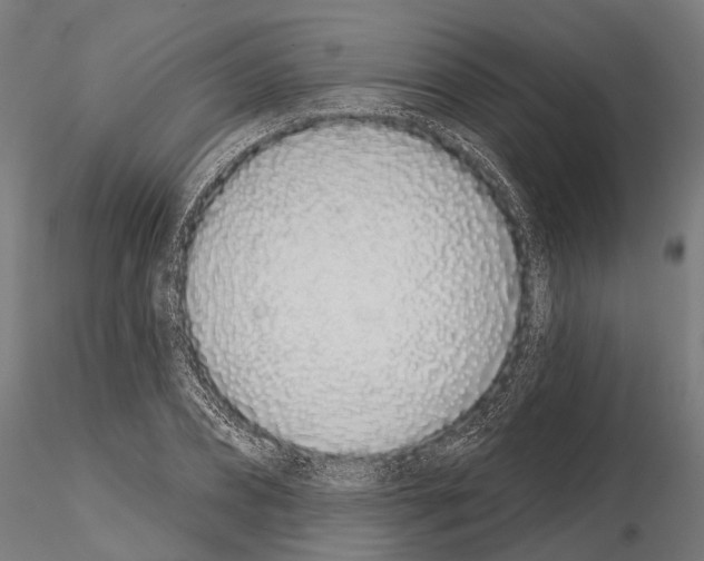 X0000115110882200912081319