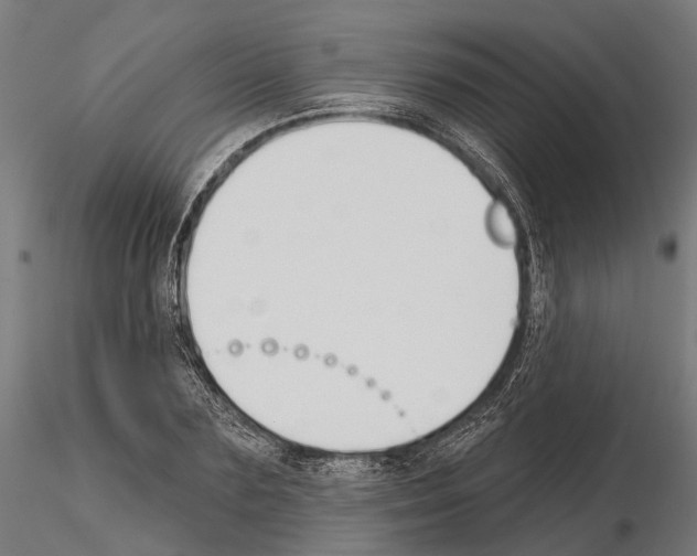 X0000115110883200912081319