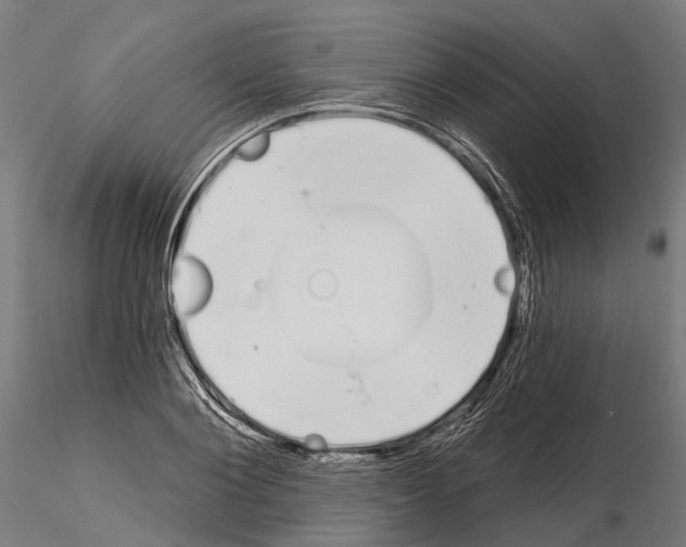 X0000115110884200912081319